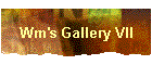 Wm's Gallery VII